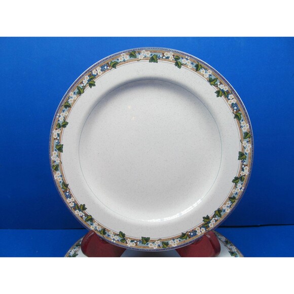 Christopher Stuart Springfest 8" Salad plates Bundle of 4 - Picture 2 of 9